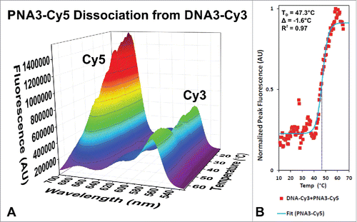 Figure 4. Fluorescence spectra of the Cy5 labeled PNA3 bound to the Cy3 labeled DNA3 nanocage as a function of temperature. The Cy3 labeled DNA nanocage (DNA3-Cy3) containing Cy5 labeled γ-PNA3 was excited at 475 nm and the emission was monitored as a function of wavelength as the temperature was increased from 11°C to 85°C as shown in (A). The peak donor fluorescence is plotted versus temperature and fitted with a sigmoidal dose response curve (B), where the inflection point corresponds to the dissociation temperature (TD) indicated on the plot. The difference (Δ) from a theoretical value (48.9°C) is also shown, which is greater than the value predicted for a similar DNA sequence (37.5°C).
