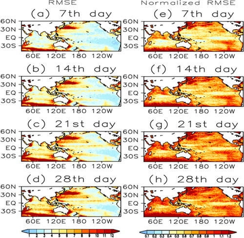 Fig. 9. Left panels: model’s predicted SSHA (°C) root-mean-squared errors (RMSEs) at the forecast lead time (a) 7th day, (b) 14th day, (c) 21st day and (d) 28th day over the hindcast period 1990–2012. Right panels are the same as the left panel but for normalized RMSE using observed SSHA standard deviations.