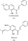 Figure 1 Chemical structures of lonchocarpin (a) and derricin (b).