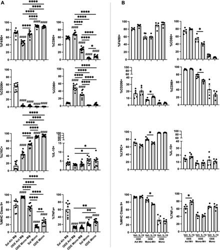 Figure 4. Lung-delivered IL-10 treatment following one-time 25% ODE exposure modulates immune phenotype of activated monocyte/macrophage Sub-populations. (A) Scatter-dot plots depict mean (± SEM bars) percent cell surface marker and intracellular cytokine (IL-10, TNFα) expression in monocyte/macrophage Sub-populations. N = 10 mice/group from two experimental runs. (B) Cell surface marker and intracellular cytokine percent expression of monocyte/macrophage Sub-populations exposed to ODE followed by treatment with vehicle (Veh) or IL-10. N = 5 mice/group from single experimental run. Statistical significance vs. Cxn (####p < 0.0001); between groups (*p < 0.05, **p < 0.01, ****p < 0.0001).