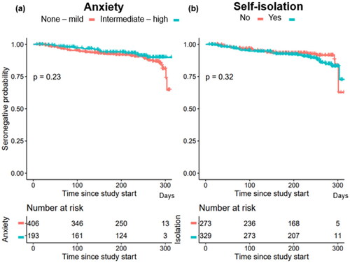 Figure 4. Risk of seropositivity for SARS-Cov-2 depending on degree of anxiety vs. degree of self-isolation. (a) a higher degree of anxiety did not affect the risk of SARS-CoV-2- seropositivity (p = 0.23). (b) Self-isolation did not affect the risk of SARS-CoV-2- seropositivity (p = 0.32).