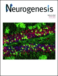 Cover image for Neurogenesis, Volume 4, Issue 1