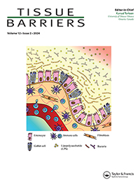 Cover image for Tissue Barriers, Volume 12, Issue 2
