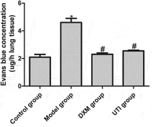 Figure 4. Effects of UTI on pulmonary vascular endothelial permeability of LPS-induced rats. A: Control group; B: model group; C: DXM group; D: UTI group. *Compared with control group, P < 0.05; #compared with model group, P < 0.05.