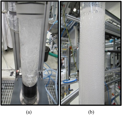 Figure 6. Illustration of: (a) the gas maldistribution (at Ug = 0.035 m/s) and (b) complete foaming state (at Ug = 0.076 m/s) in DW and 2-pentanol (1.0 vol.%) system aerated with air at ambient conditions.