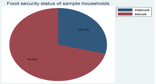 Figure 2. The study area’s households’ level of food security.Source: Own computation based on survey data, 2022.