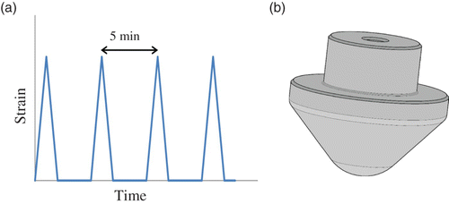 Figure 2. (a) Schematic representation of the variation of the sample deformation as a function of time during a dynamic deformation event and (b) schema of a conical-spherical probe head.