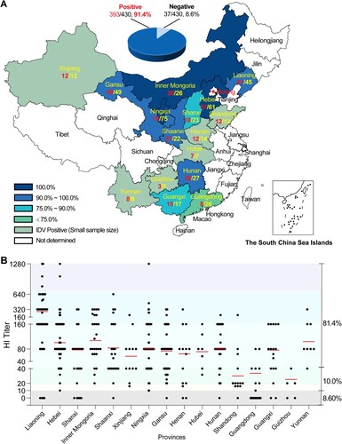 Figure 3. Serosurveillance results for IDV in cattle among provinces of China, 2022–2023. (A) The numbers of serum samples positive for IDV antibodies from cattle in each province of China, 2022–2023. The colours indicate seropositive rates of IDV in cattle among provinces according to the legend located at the left bottom of the map. The numbers of serum samples positive for IDV antibodies are given in red colour (bold font), and the numbers of total serum samples collected in cattle in individual provinces are given in yellow colour (bold font). The overall IDV seropositive rate in cattle in China according to this study is indicated in the top of the map. (B) The HI titre of each serum sample obtained from cattle across provinces. The colours indicate different levels (less than 10, 10–20, 20–40, 40–160, and 160–1280) of HI titres. The error bar in red colour represents the geometric mean HI titre. Serum samples with HI titres equal to or higher than 10 are counted as positive. Data on the right y-axis represent the distribution of serum samples with HI titres less than 10, equal to or higher than 10 but less than 40, and equal to or higher than 40.