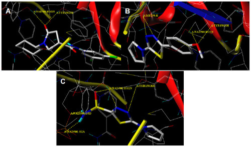 Figure 9 Docking conformation (capped sticks model in atom type color) of 641 (A), compounds 4b (B), and 8a (C) at the active site (yellow dotted lines indicate H-bond); flexible docking.