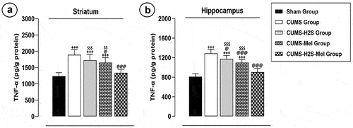 Figure 6. Effects of H2S (5.6 μmol/100 g) and Melatonin (1 mg/100 g) on TNF-α level of rats exposed to CUMS: (a) striatum (b) hippocampus. Mean ± SD (n = 7). +++P < 0.001 vs Sham group; @P < 0.05, @@@P < 0.001 vs CUMS group; $$ p < 0.01, $$$P < 0.001 vs CUMS-H2S-Mel group; ANOVA/Post hoc (Tukey test).