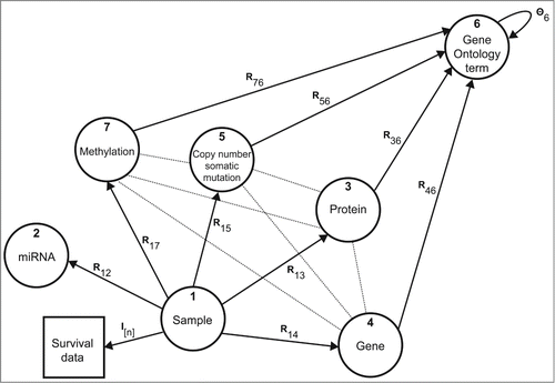 Figure 4. Data sources and their relations. Nodes in the graph correspond to different types of objects and edges denote data matrices Rij or constraint matrices Θi. For example, matrix R13 contains protein expression values, R15 relates tissue samples to mutated genes in the tumor, and DNA methylation matrix R17 reports on gene-based methylation Beta values of interrogated sites. Gene annotations from Gene Ontology are given in matrices Rx6, x ∈ {3, 4, 5, 7}. Constraint matrix Θ6 encodes the semantic similarity of Gene Ontology terms as defined by the directed acyclic graph of the ontology.