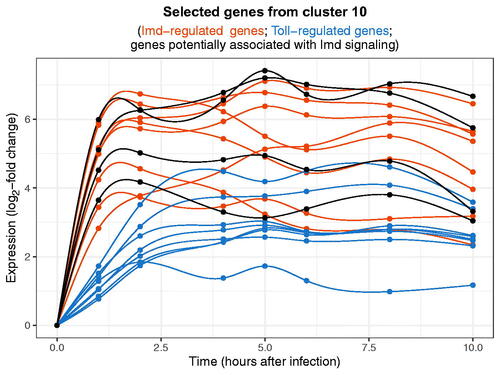 Figure 8. Temporal expression patterns of selected genes in cluster 10 during the first ten hours following peptidoglycan injection. The eight red lines correspond to Imd-regulated genes. The eight blue lines correspond to Toll-regulated genes, which show a smaller and delayed up-regulation. The four black lines correspond to genes that exhibited high Bayesian LLR2 values (> 0.9) with Imd-regulated genes; while there is no prior information in STRING linking them with the Imd pathway, their co-clustering with Imd-regulated genes was also observed in Schlamp et al. (Citation2021).