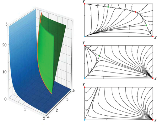Figure 1. The dynamics of the BN model. Left: the bifurcation set consists of two surfaces separating the three open regions of parameters with the three different behaviours of the system. The smooth surface, blue, is given by (4) and the cuspy surface, green, is the discriminant set given by (9). At the red line, the dark green and light green parts of (9) meet to form a cusp. Right, bottom: the two segregated equilibria (1,0) and (0,1k), both red, attract every point except for the ones on the line separating their basins of attraction and the points on that line tend to the empty equilibrium (0,0), blue. The parameter values (a,b,k)=(2,0.2,2) are between the smooth surface given by (4) and the two co-ordinate planes {a=0} and {b=0}. Right, middle: a saddle, green, has detached from the origin and its stable manifold now separates the basins of attraction of the two segregated equilibria, which still attract all other points. The parameter values (a,b,k)=(2,2,2) are between the smooth and the cuspy surface. Right, top: there is a third attracting equilibrium, red, which is mixed. The two segregated equilibria have basins of attraction bounded by the stable manifolds of the two saddles, both green. These lines also form the boundary of the basin of attraction of the attracting mixed equilibrium. The parameter values (a,b,k)=(2,8,2) are in the third open region of the bifurcation set, the one bounded only by the cuspy surface given by the discriminant (9).