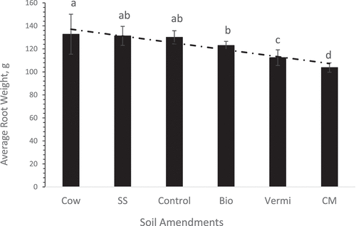 Figure 1. Overall average of sweet potato root weight of plants grown under six soil management practices (Cow = cow manure, SS = sewage sludge, Control = no-mulch native soil, Bio = biochar, Vermi = vermicompost, and CM = chicken manure). Each bare is an average of 6 replicates ± standard error. Values in each treatment accompanied by the same letter(s) are not significantly different (p≥ 0.05) using Duncan’s multiple range test (SAS Institute Inc Citation2016).