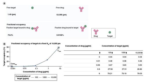 Figure 4. Complex formation between target and drug to inform on bound target fraction to be considered in a target occupancy assay.To understand what the maximum anticipated complex formation will be, the highest anticipated drug concentration was used (A). At lower drug concentrations, plotted in the x-axis in the graph on the bottom, lower % target occupancy is observed, shown in the y-axis. The lines represent different target concentrations (B).