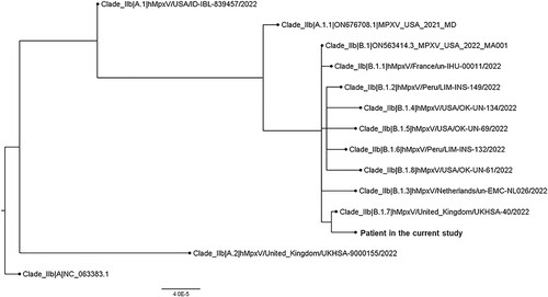 Figure 1. Whole genome phylogenetic analysis of the patients’ strain. The tree was constructed by maximum likelihood method with IQTree2.