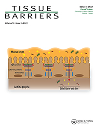 Cover image for Tissue Barriers, Volume 10, Issue 3, 2022