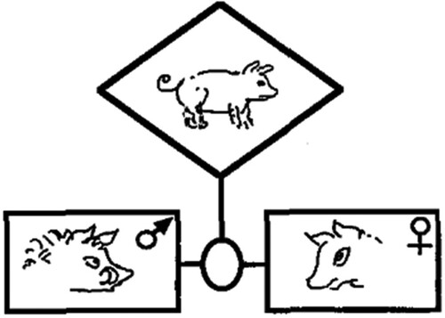 Figure 2. Alfred Gell’s Pig (from Gell, Citation1999, p. 42).