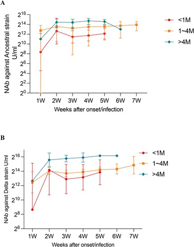 Figure 4. Impact of duration after SARS-CoV-2 vaccination on NAbs against ancestral and Delta variants in breakthrough cases. (A) Effect of SARS-CoV-2 vaccination duration on NAbs against the ancestral strain over weeks after onset/infection. (B) Effect of SARS-CoV-2 vaccination duration on NAbs against the Delta strain over weeks after onset/infection.