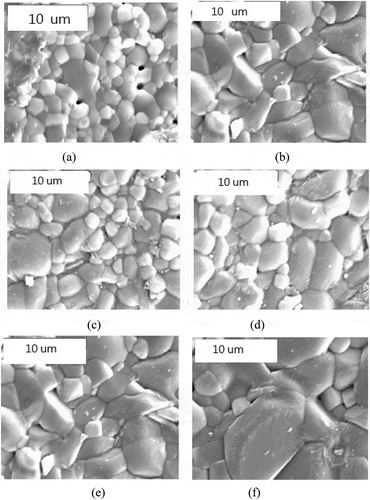 Figure 2. SEM images were taken of 0.875MZCT–0.125CLYT ceramics containing 1 wt% CuB2O4, sintered at different temperatures for a duration of four hours, including (a) 1050°C, (b) 1075°C, (c) 1100°C, (d) 1125°C, (e) 1150°C, and (f) 1175°C.