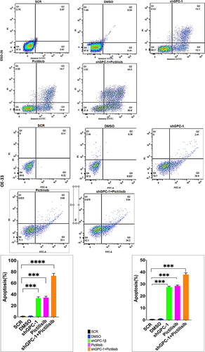 Figure 9a. Knockdown of GPC-1 enhanced Pictilisib induced apoptosis and cell cycle arrest in G0/G1 phase in PDEAC cells. (a) GPC-1High stably expressing SCR and shGPC-1β expressing cell lines were treated with low dose Pictilisib (IC25) for 48 h and evaluated for apoptosis using Annexin V/FITC using flow cytometry. the downregulation of GPC-1 synergized with low-dose Pictilisib to induce apoptosis in ESO-26 and OE-33 cells. (b\) GPC-1High stably expressing SCR and shGPC-1β expressing cell lines were treated with low dose Pictilisib (IC25) for 48 h and evaluated for the cell cycle stage using Propidium iodide staining followed by flow cytometry Data represents n = 3, mean ± SD; ordinary one ANOVA with multiple comparisons, *, P < 0.05, SCR, negative scrambled control; shGPC-1β, GPC-1 knockdown plasmid; FITC, fluorescein isothiocyanate.