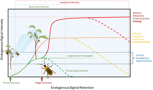 Figure 1. Plant defense priming in response to herbivory. Primer stimuli are environmental cues (e.g. volatile organic compounds from damaged neighboring plants, direct herbivore damage, spectral and chemical information) that elicit plant endogenous signaling and so ready plants for faster and stronger responses when additional attacks by herbivores occur (trigger stimulus). Intensity of the priming stimulus and the plant’s inherit sensitivity determine how strongly the plant is responding to a stimulus, reaching from alterations in endogenous signaling that may not significantly affect metabolism to a direct induction of defense metabolism. If the endogenous signal intensity elicit by environmental stimuli ranges within a critical signal intensity, a subsequent trigger stimulus (e.g. direct damage by a herbivore) will result in a faster and stronger expression of the plant defense metabolism. The reliability of a priming stimulus as a predictor of subsequent fitness-affecting damage will affect endogenous signal intensity and retention and thus if the priming information is stored in short- (e.g. transient, transcript and phytohormone accumulation) or long-term memory (e.g. epigenetic alterations). Defense priming allows the integration of environmental information to optimize plant responses while minimizing the costs associated with unreliable (false) environmental information.