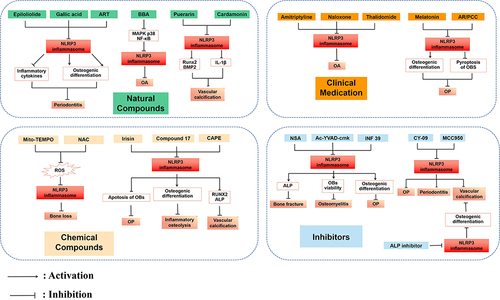 Figure 2 Potential therapeutic strategies by inhibiting NLRP3 inflammasome in OBs-related diseases.