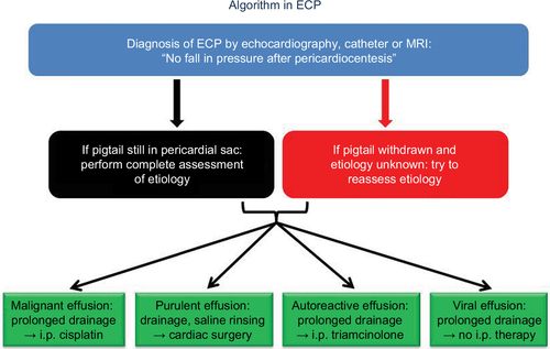 Figure 6 Diagnostic and therapeutic algorithm in ECP.