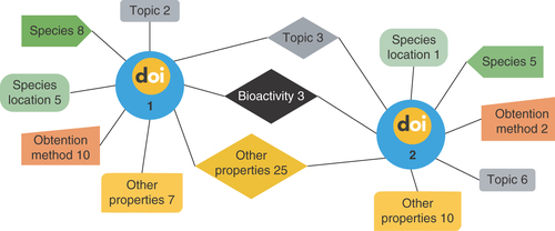 Figure 3. The proposed knowledge graph structure.