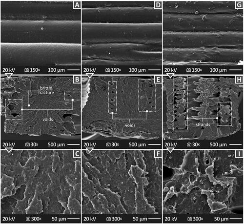 Figure 13. The SEM images for (A) a lateral view of a pure PP sample at 150× magnification, (B) a fractured view of a pure PP sample at 30× magnification, (C) a fractured view of a pure PP sample at 300× magnification, (D) a lateral view of a PP/2.0% TiN sample at 150× magnification, (E) a fractured view of a PP/2.0% TiN sample at 30× magnification, (F) a fractured view of a PP/2.0% TiN sample at 300× magnification, G) a lateral view of a PP/4.0% TiN sample at 150× magnification, (H) a fractured view of a PP/4.0% TiN sample at 30× magnification, (I) a fractured view of a PP/4.0% TiN sample at 300× magnification.