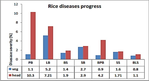 Figure 4. The disease severity level in vegetative and heading growth stages of rice at Pawe district (Wubneh & Bayu, Citation2016). Where: veg: vegetative growth stage; head: head setting growth stage; PB: panicle blast; LB: leaf blast; BS: brown spot; SB: sheath blight; BPB: bacterial panicle blight; SS: sheath rot; BLS: bacterial leaf strike.
