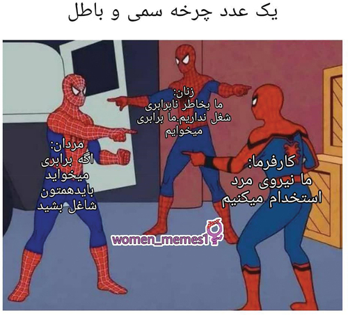 Figure 6. Spider-man meme exposing gendered wage inequality in Iran.