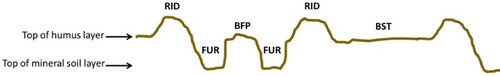 Figure 1. Schematic representation of microsite types that are encountered in a sampling transect. Abbreviations for microsite types: ridge (RID); furrow (FUR); between furrows pair (BFP); and between skidder trails (BST).