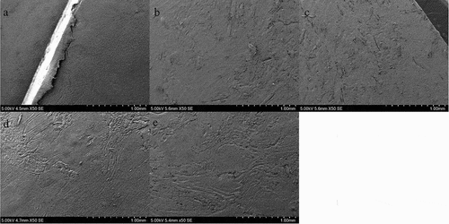 Figure 12. SEM images of the surface of the different parts, obtained at 50× magnification: a) PE, b) PE.F20, c) PE.F40, d) PE.R20, e) PE.R40.