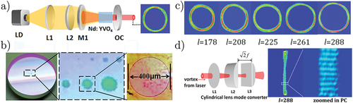 Figure 2. (a) Experimental setup for generating an optical vortex from the laser reported in ref [Citation47]. (b) A photograph of the output coupler inscribed with round patterns, as well as a photograph and micrograph of the round patterns. (c) Beam profiles of the generated vortices for various topological charges. (d) The cylindrical lens mode converter and the accompanying HG beam profile. Adapted with permission from Ref.  [Citation47].