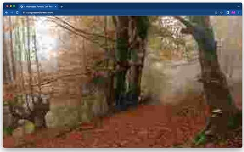 Figure 1. Screenshot of Compressed Forests, showing how it appears at compressedforests.com. Title: Compressed Forests; link to artwork: https://compressedforests.com; artist: Jan Robert Leegte; created: 2016; media: website (web browser-based), client-side (HTML, Javascript, Cascade Style Sheet), images from Flickr; owner of artwork: Rijksdienst Cultureel Erfgoed (RCE).