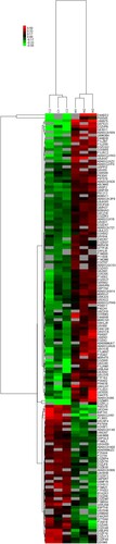 Figure 3 Cluster analysis of differential level proteins between W vs. C. (Colors indicate the differential protein levels, which increase successively from green to red. Increased levels of proteins are indicated in red, and decreased levels are marked in green)