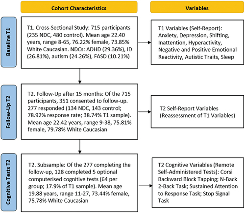 Figure 1. Cohort characteristics from T1 to T2 and variables examined.