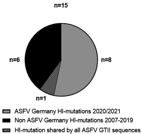 Figure 5. High-impact mutations in ASFV whole-genome sequences in comparison with the ASFV Georgia 2007/1 sequence (FR682468.2). Number of HI mutations in the ASFV WGS from Germany vs HI mutations in 5 WGS from the Ukraine and 20 publicly available WGS