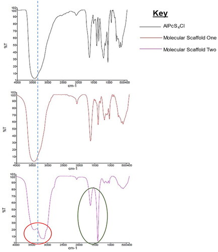 Figure 5. IR spectra showing the transmittance plotted against cycles per reciprocal centimetres. The red circle shows influence of amide (N–H) on the 3500 regions and the green ring shows prominent C–H bonds on the molecular scaffold two, indicating coupling of mAbs to the PEGy-AuNP by covalent linkages.