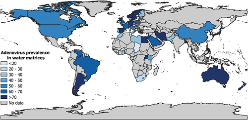 Figure 3. Global prevalence of adenovirus in water matrices.