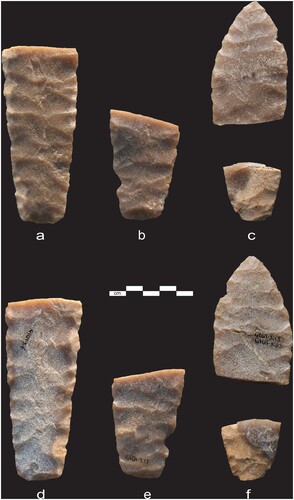 Figure 5 (a–c) Unpatinated side of preform base fragments GlQl-3:6, 17, and 24; (d–f) patinated side of the same three artifacts. The GlQl-3:10/11 tip and middle fragment and the GlQl-24 base might have been part of a single preform. Photographed Courtesy of the Royal Alberta Museum.