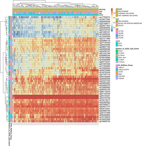 Figure 6. DNA methylation levels in the GRM4 gene are associated with the prognosis of GBM patients.