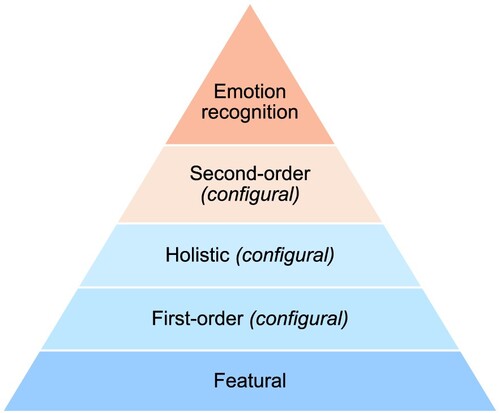 Figure 1. Proposed hierarchy of the stages of visual processing of human faces.Notes: Holistic and first-order configural processes are often challenging to disentangle in existing cognitive tasks; as such, they are considered as separate, but parallel process in the current study.