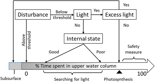 Figure 6. “Behavioural response scheme” showing the influence of external factors (disturbance, light) and internal factors (internal state, built-in safety measure) in determining the vertical movement of S. roscoffensis. good internal state refers to an individual with sufficient or excess photoassimilates and therefore having little need for photosynthesis; poor internal state refers to the opposite condition.