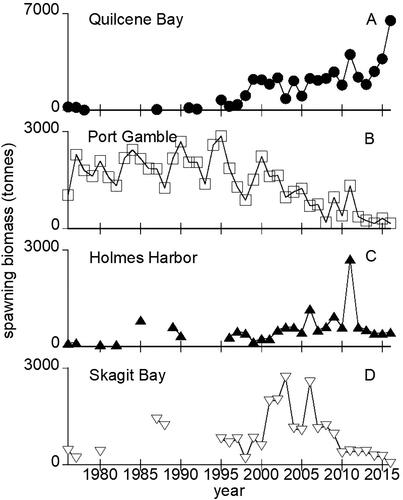 Figure 2. Estimated Puget Sound herring spawning biomass for the four stocks from Quilcene Bay, Port Gamble, Holmes Harbor, and Skagit Bay from 1976 to 2016. Estimates from spawn deposition surveys, acoustic/trawl surveys of schooling spawners, or both (Stick et al. Citation2014, Sandell et al. Citation2019).
