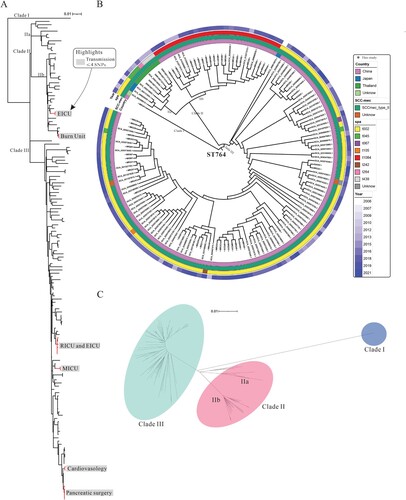 Figure 6. Phylogenetic analysis of ST764 S. aureus isolates. (A) ParSNP phylogenetic tree based on the 2301 core-SNPs of the 149 ST764 S. aureus isolates. Six groups of independent epidemics (paired SNPs of isolates ≤4 were defined as the same transmission) were identified. (B) Classification of Country, SCCmec type, spa type, and isolated year of the 149 isolates. The colours are the same as shown above. (C) Unrooted tree of ST764 S. aureus isolates. Branches in this tree could be classified into three clades, including Clade I, Clade II and Clade III. EICU: Emergency Intensive Care Unit; Burn Unit: The Department of burn unit; RICU: The Respiratory Intensive Care Unit; MICU: The Medical Intensive Care Unit; Cardiology: The Department of Cardiology; Pancreatic surgery: The Department of Pancreatic surgery.