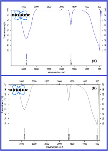 Figure 2. (a). FTIR absorption spectra of Byttneriea herbacea leaf extract and Fig. 2. (b). BH-AgNPs synthesized from Byttneriea herbacea leaf extract with 0.02 M silver nitrate.