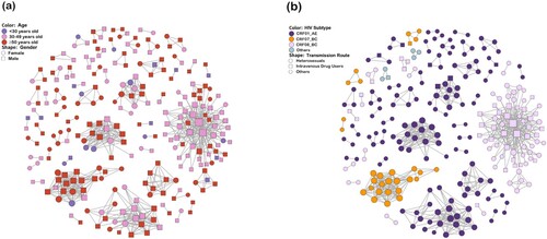 Figure 1. HIV Transmission network in Guangxi. Nodes indicate HIV patients or sequences. The size of a node is proportional to its degree. Edges (i.e. links) represent genetic linkage (≤0.018 substitutions/site). Colours indicate different age groups in (a) and HIV subtypes in (b). Shapes indicate gender in (a) and different transmission routes in (b). Other genotypes include subtype B, C, G, CRF55_01B and unique recombinant form. Other transmission routes include mem who have sex with men (MSM), blood transmission (BLD), and unknown.