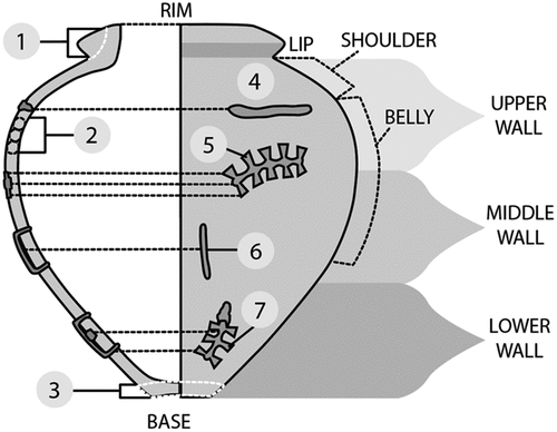 Figure 5. Production and repair of dolia; (1)–(3) show evidence of producing dolia (coil building); (4)–(7) show evidence of dolium repair: (4) lead fills, (5) double dovetail tenons, (6) staples, and (7) hybrid repairs. Illustrated by Gina Tibbott.